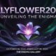 Lillyflower2003